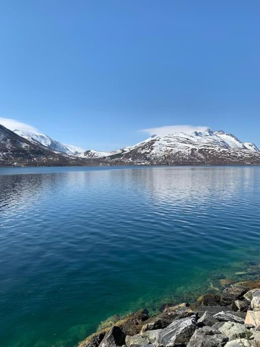 I Nord Tromsø