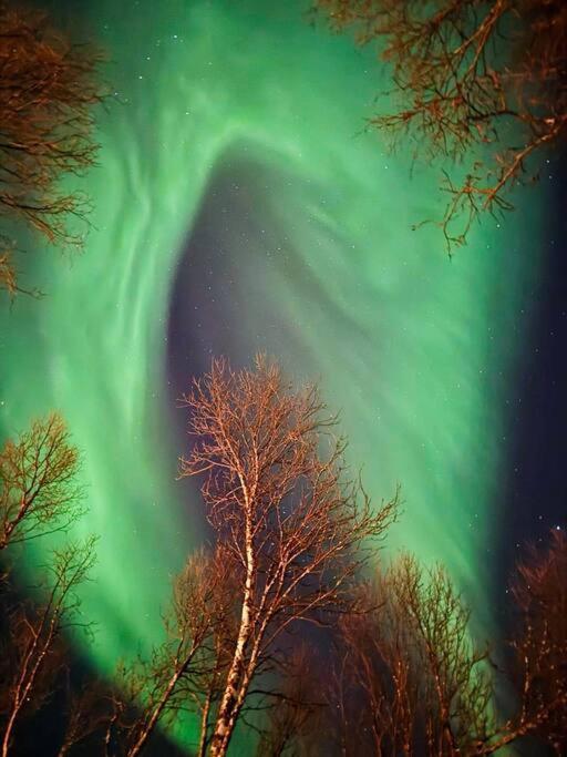 I Nord * Tromso